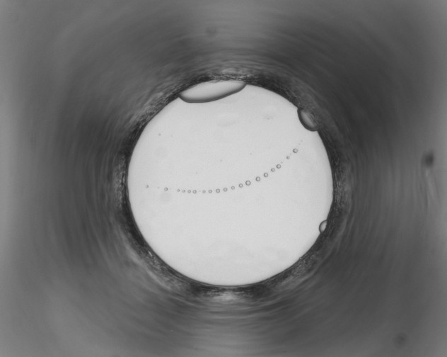 X0000116150460201001041057