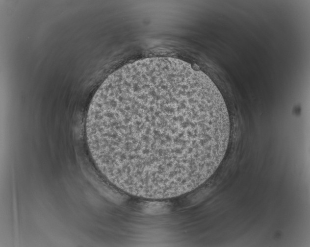 X0000116150465201001041057