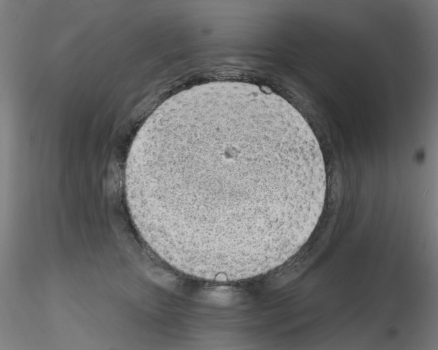 X0000116150467201001041057