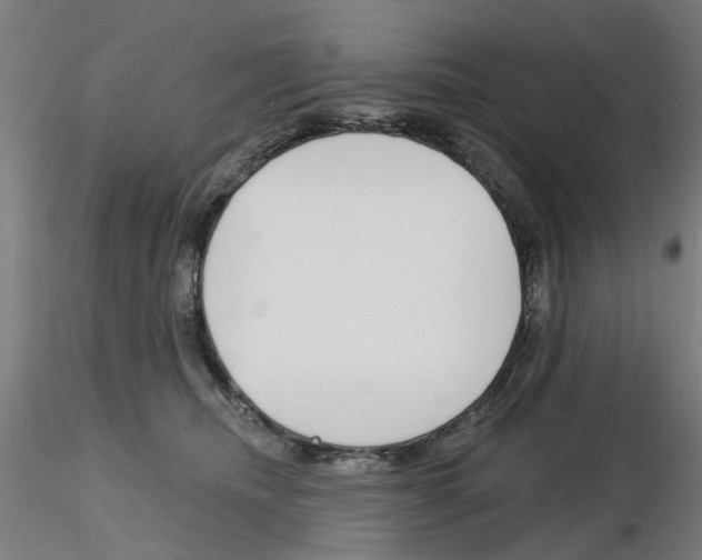 X0000116150468201001041057