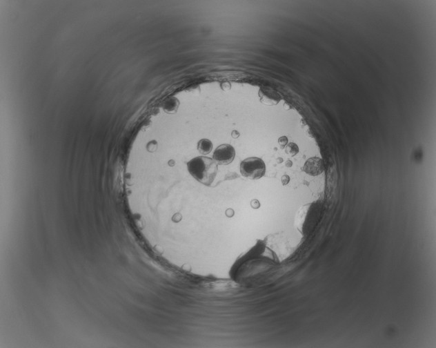 X0000116150474201001041057