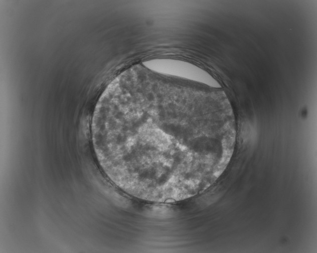 X0000116150475201001041057