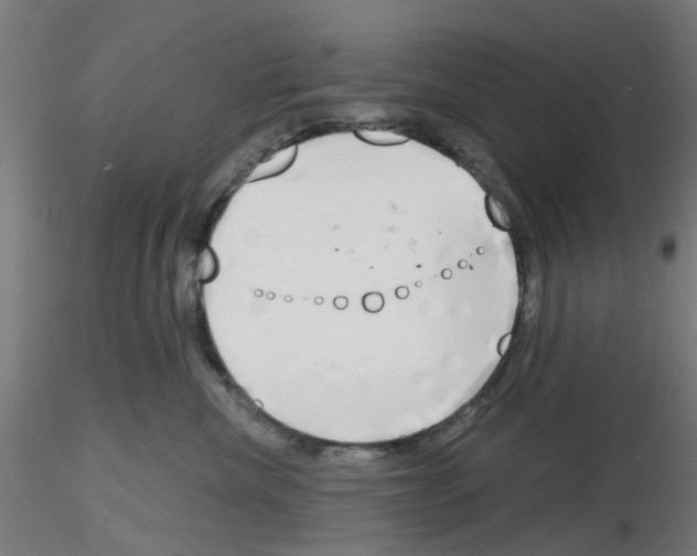 X0000116150476201001041057