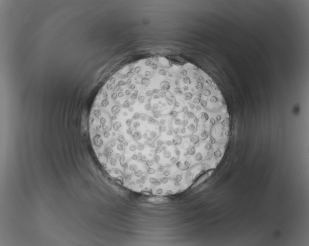 X0000116150478201001041057