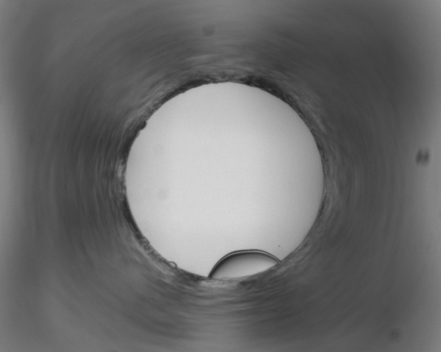 X0000116150480201001041057