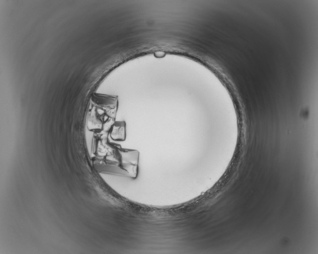 X0000116150481201001041056