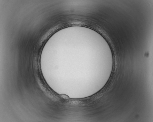 X0000116150482201001041056