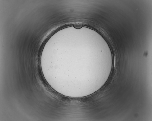 X0000116150483201001041056