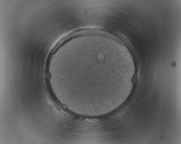 X0000116150484201001041056