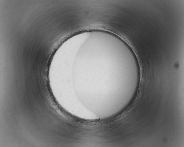 X0000116150485201001041056