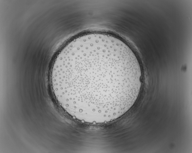 X0000116150487201001041056