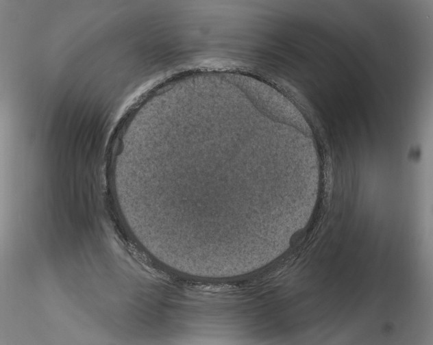 X0000116150488201001041056