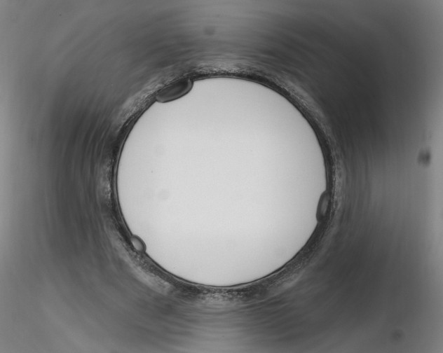 X0000116150489201001041056