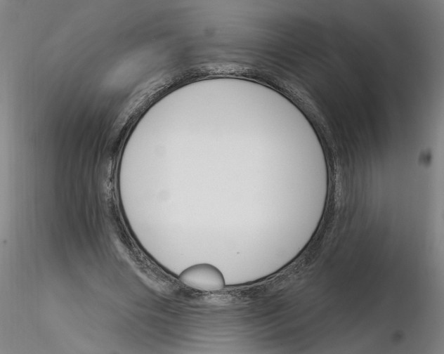 X0000116150490201001041056