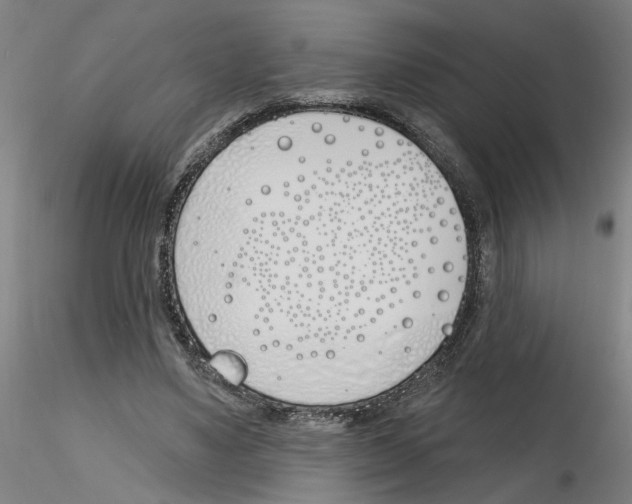 X0000116150491201001041056