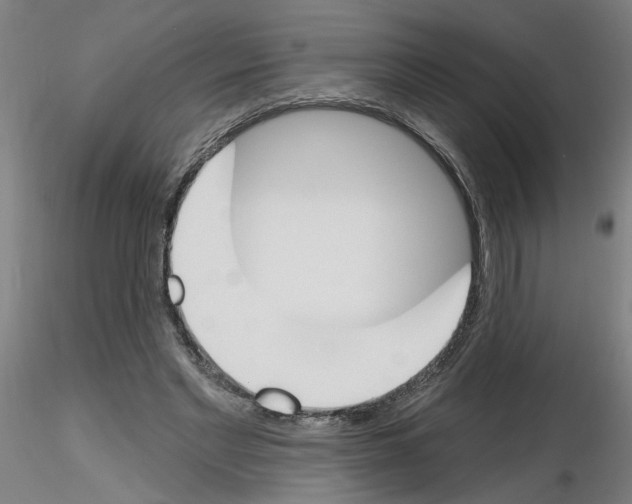 X0000116150493201001041056