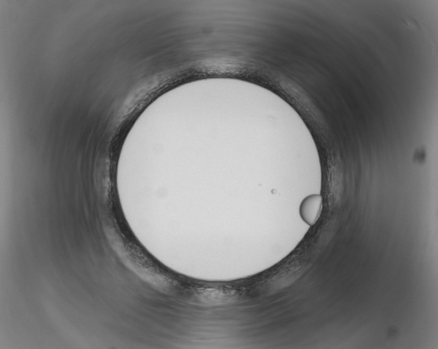 X0000116150494201001041056