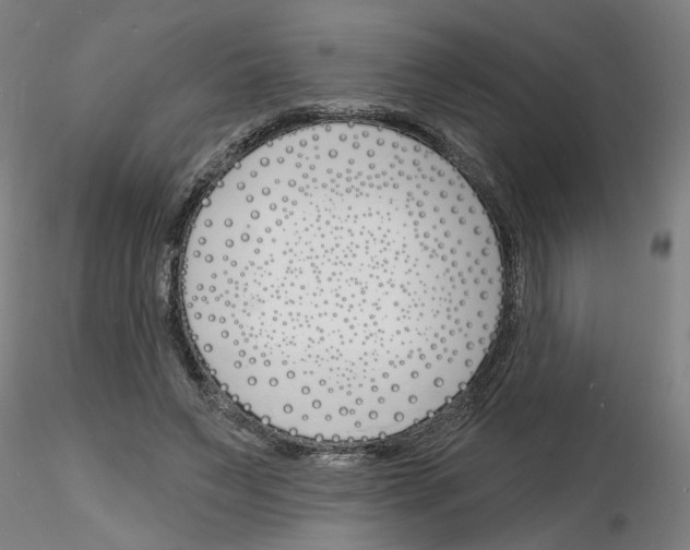 X0000116150495201001041056