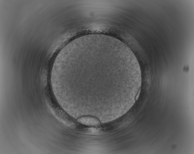 X0000116150496201001041056