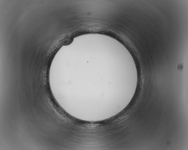 X0000116150497201001041056