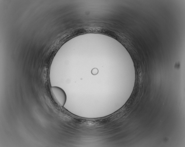 X0000116150498201001041056