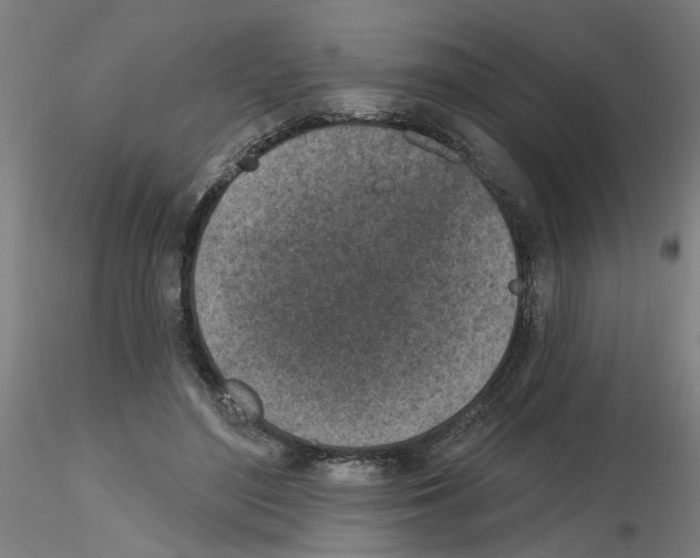 X0000116150500201001041056