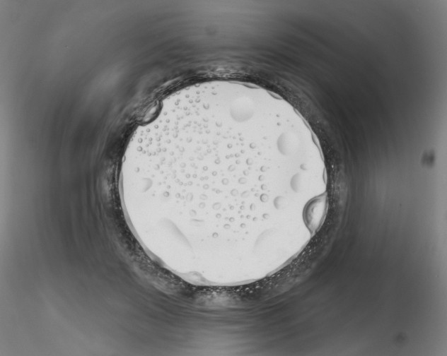 X0000116150503201001041056