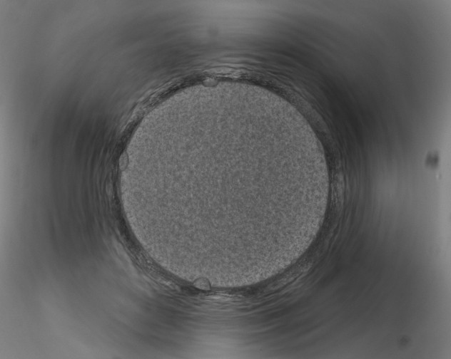 X0000116150504201001041056