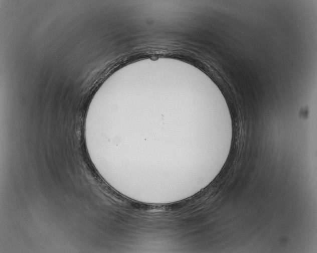 X0000116150505201001041056