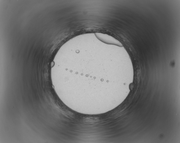 X0000116150508201001041056