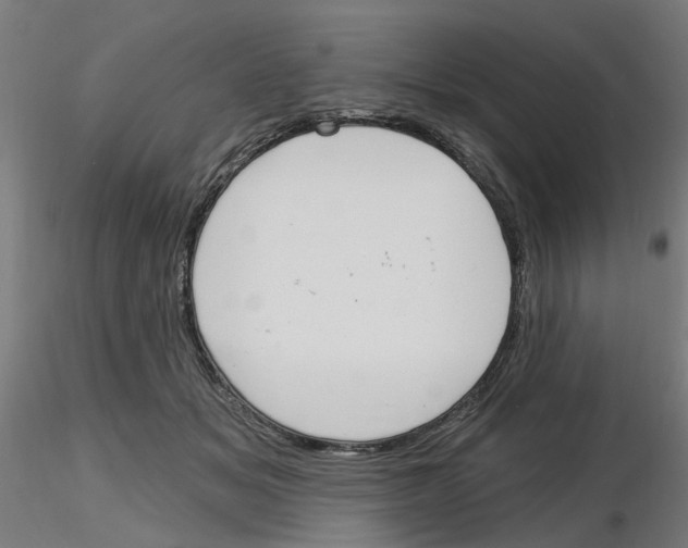 X0000116150509201001041056