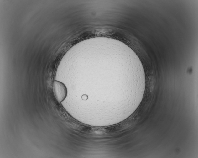 X0000116150510201001041056