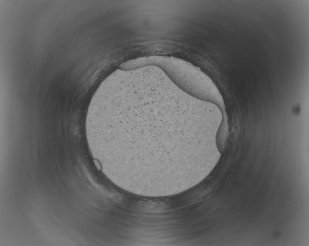 X0000116150512201001041056