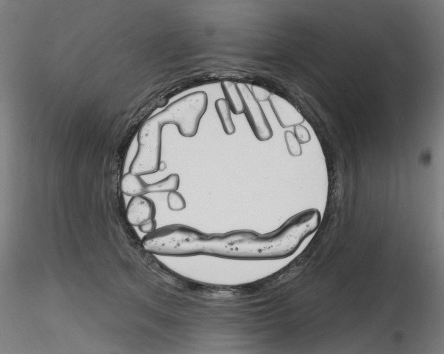 X0000116150513201001041056