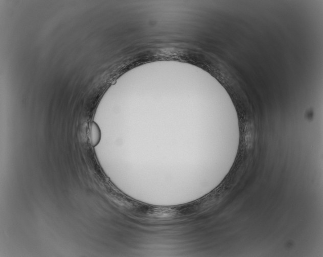 X0000116150514201001041056