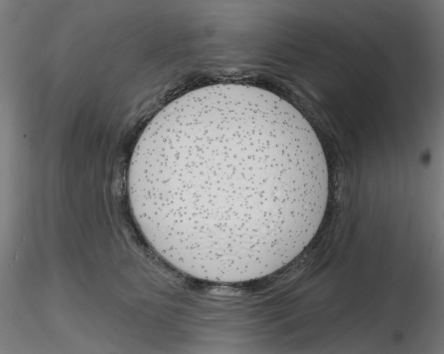 X0000116150515201001041056