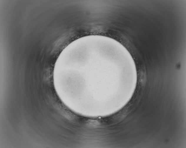 X0000116150519201001041056