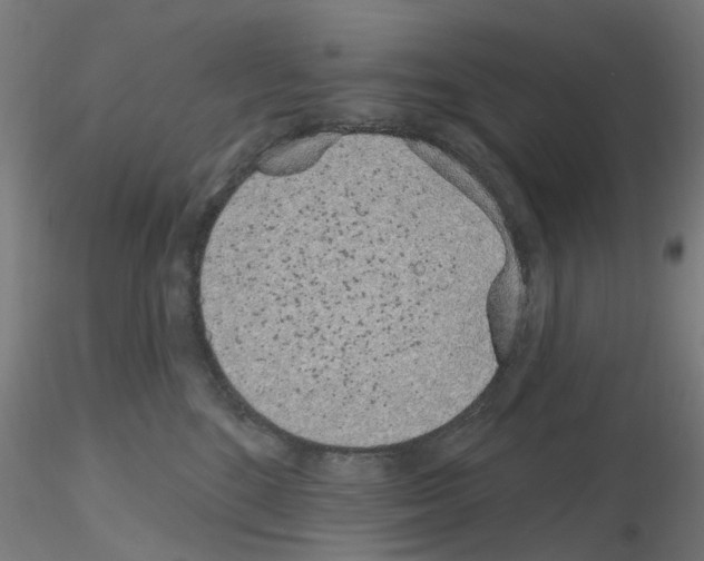 X0000116150520201001041056