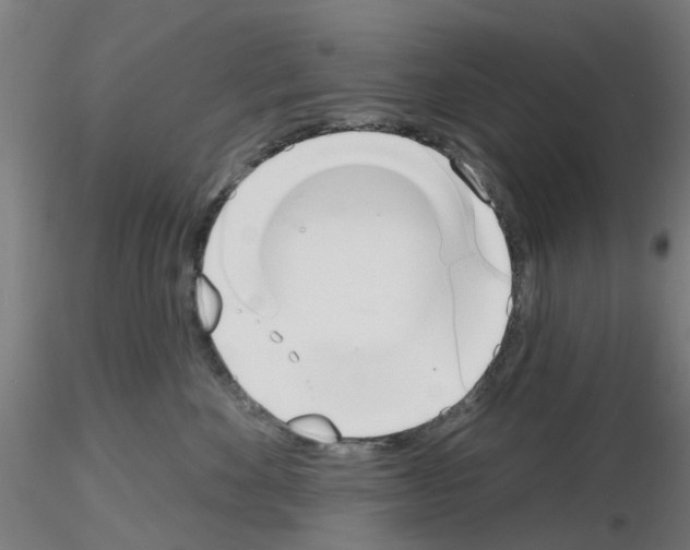 X0000116150524201001041056