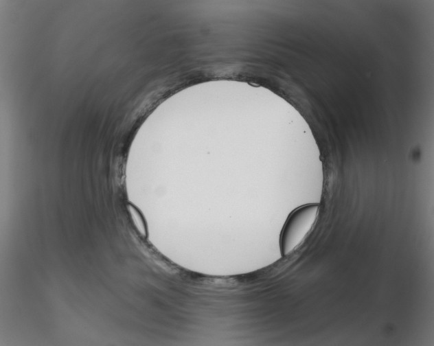 X0000116150525201001041056