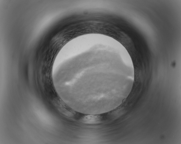 X0000116150526201001041056