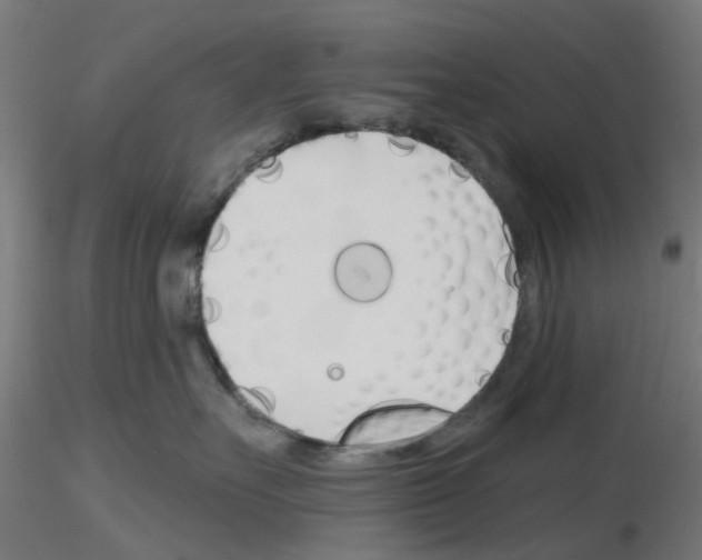 X0000116150527201001041056