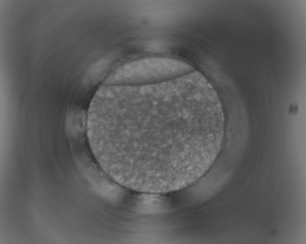 X0000116150528201001041056