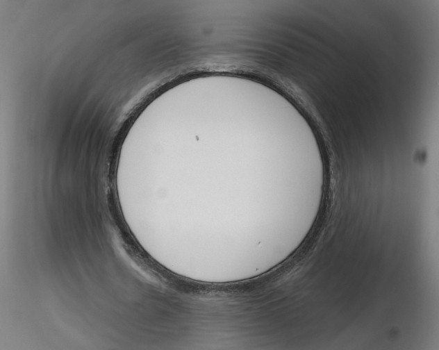 X0000116150530201001041055