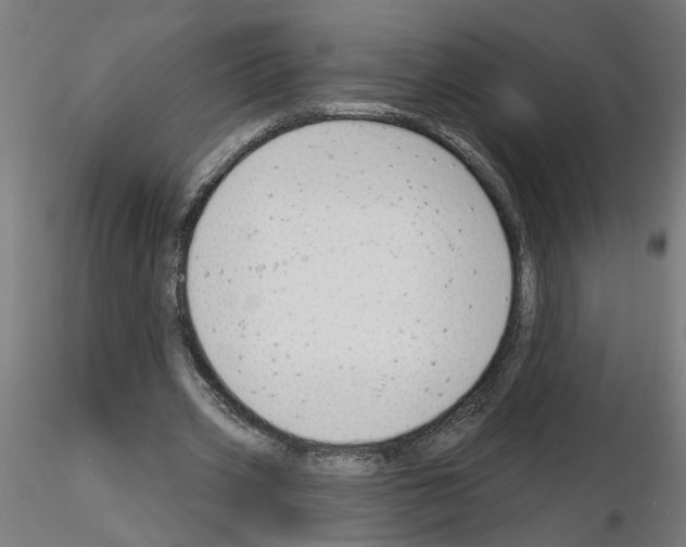 X0000116150533201001041055