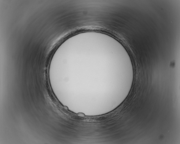 X0000116150535201001041055