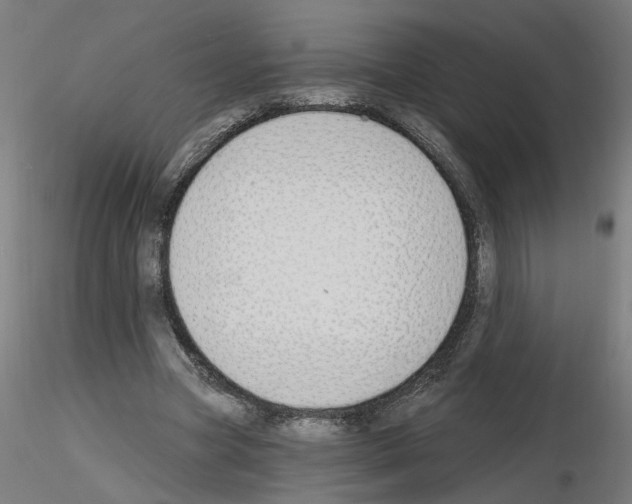 X0000116150537201001041055