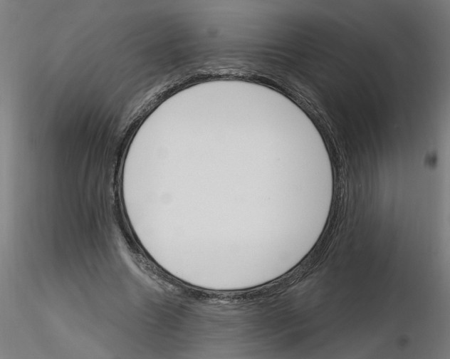 X0000116150538201001041055