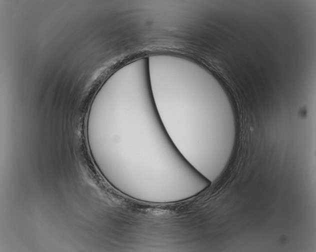 X0000116150539201001041055