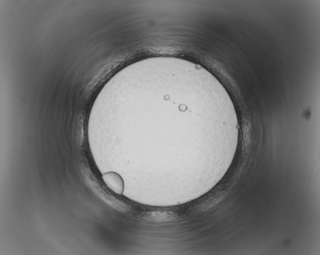 X0000116150541201001041055